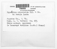 Image Associated With the Occurence